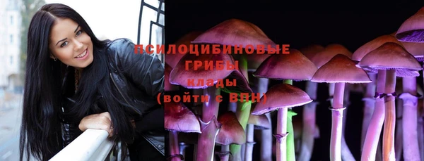 стаф Алексеевка